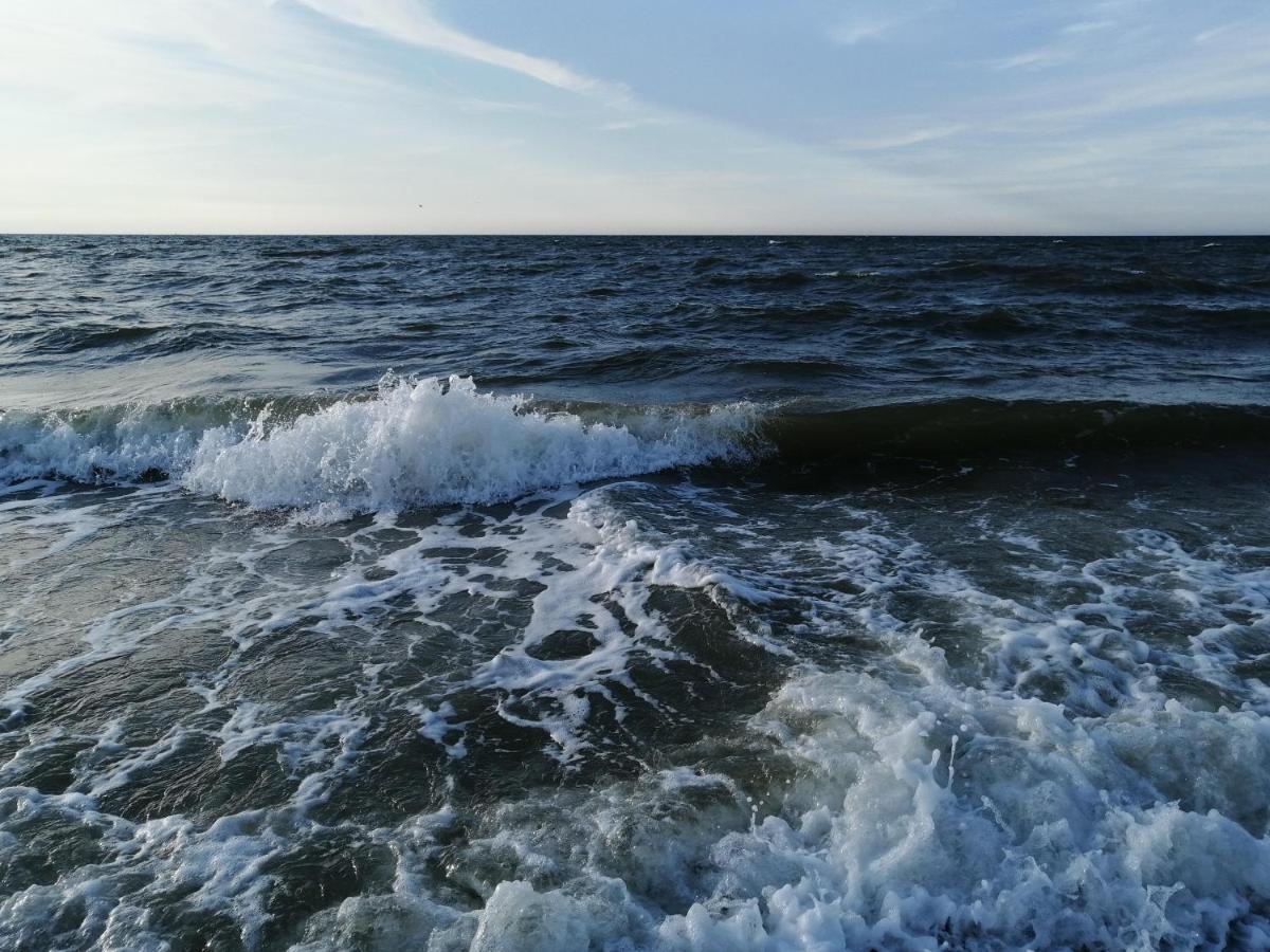 Ferienwohnung Luetje Hoern Norddeich  Eksteriør billede
